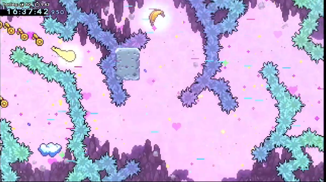 A picture from one of the checkpoints from 9D